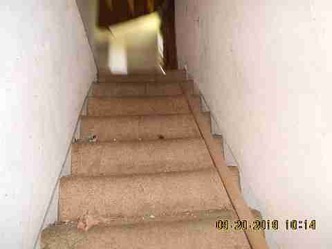 18889 Cardoni (16)_m.jpg